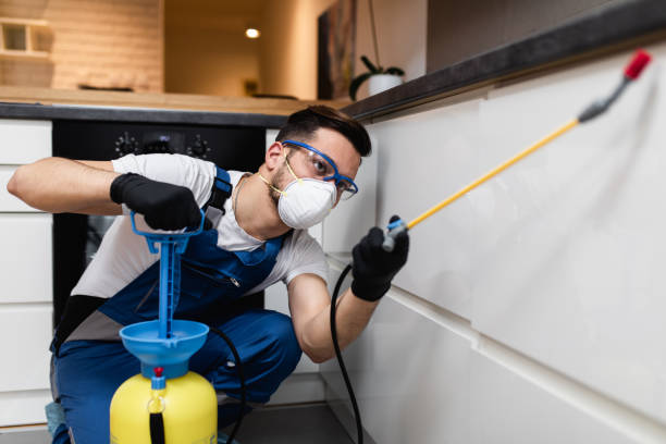 Flea Control Services in Gurdon, AR