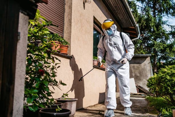 Best Flea Control Services  in Gurdon, AR