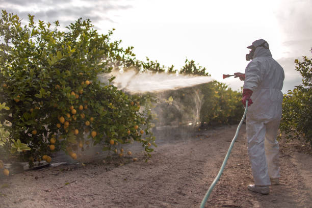 Best Best Pest Control Companies  in Gurdon, AR
