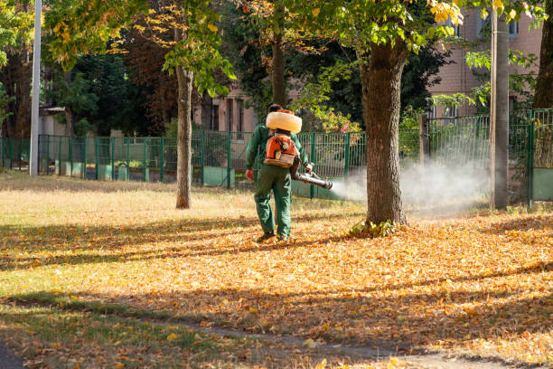 Best Local Pest Control Services  in Gurdon, AR