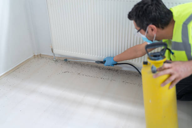 Best Cockroach Control Services  in Gurdon, AR
