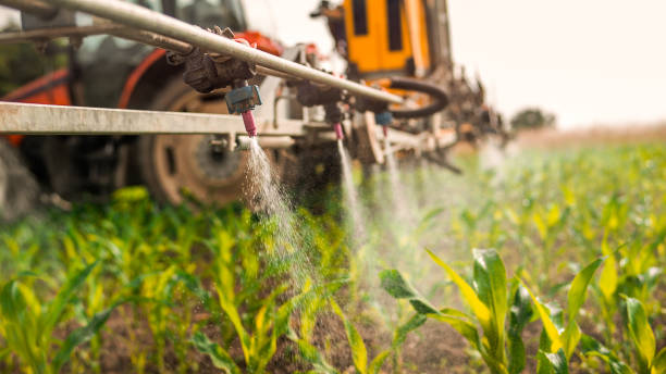 Best Mosquito Control Services  in Gurdon, AR